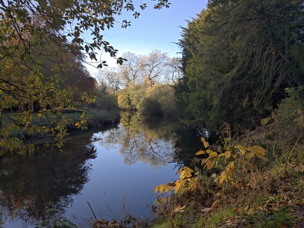 The river at Pollok Park