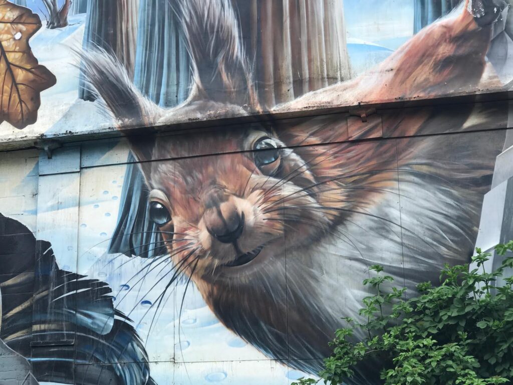 A picture of a squirrel from a mural in Merchant's city